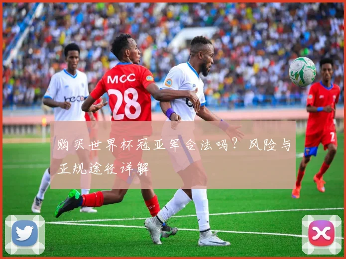 购买世界杯冠亚军合法吗？风险与正规途径详解