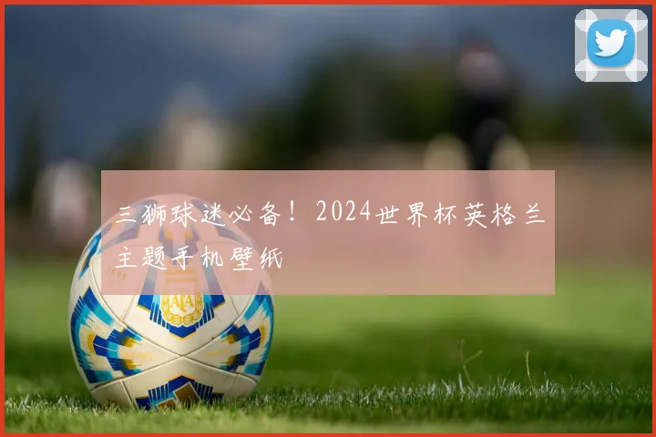 三狮球迷必备！2024世界杯英格兰主题手机壁纸
