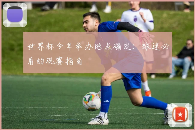 世界杯今年举办地点确定:球迷必看的观赛指南